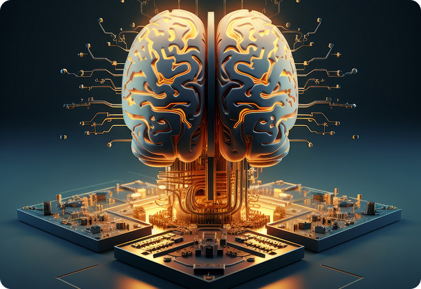 Solid Protection photo